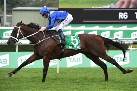 Winx Horse .